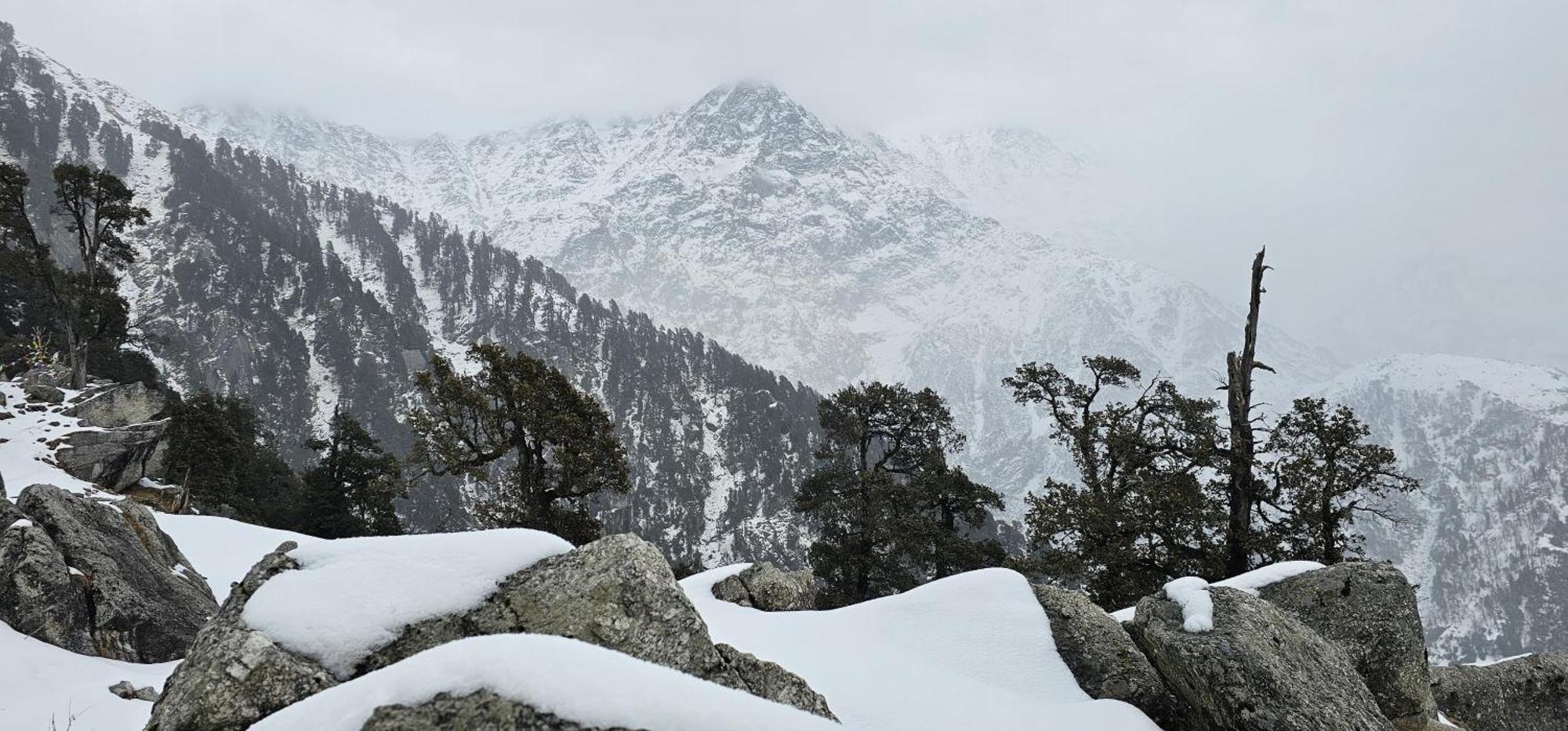 Hotel Starwud Kotagge McLeod Ganj Eksteriør bilde